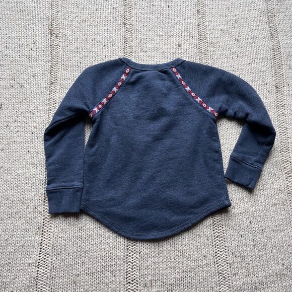 Polo Ralph Lauren crewneck sweatshirt with native embroidery, 3T. - Picture 4 of 4